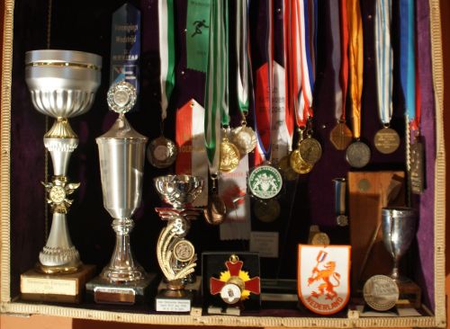 Heb jij of hebben jouw sporters een gevulde prijzenkast? Maak dan kennis met Sport naar Succes en vertel jouw inzichten aan het bedrijfsleven. prijzenkast