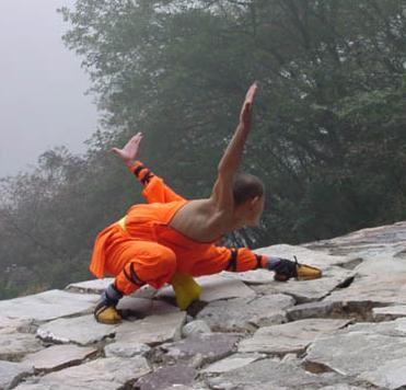 kungfu